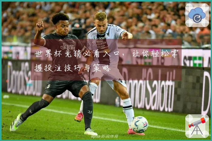 世界杯竞猜必看入口，让你轻松掌握投注技巧与策略