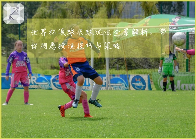 世界杯滚球买球玩法全景解析，带你洞悉投注技巧与策略