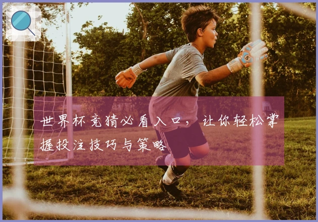世界杯竞猜必看入口，让你轻松掌握投注技巧与策略