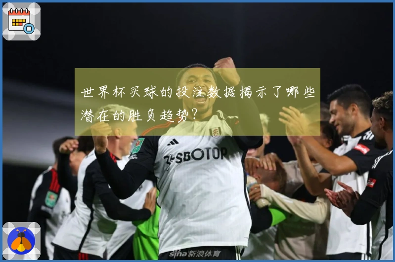 世界杯买球的投注数据揭示了哪些潜在的胜负趋势？
