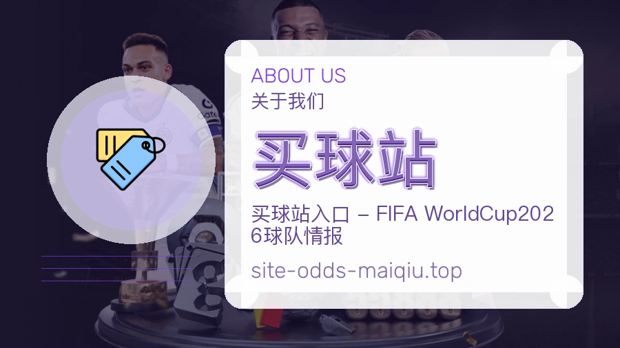 关于 买球站 团队与服务